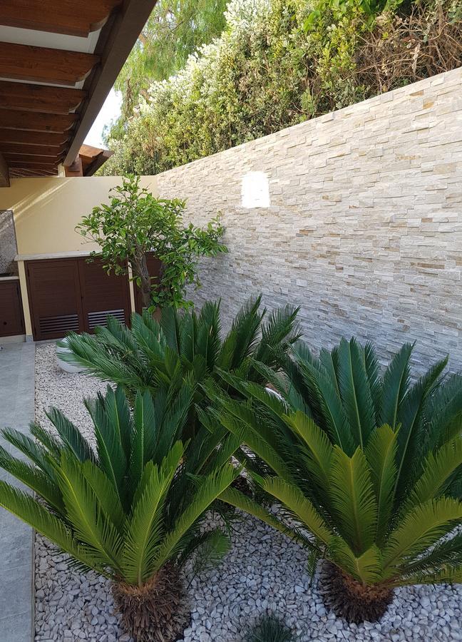 B&B Aloe Comfort Rooms San Vito Lo Capo Extérieur photo